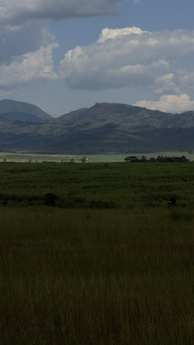 Alex Kamau tweet media