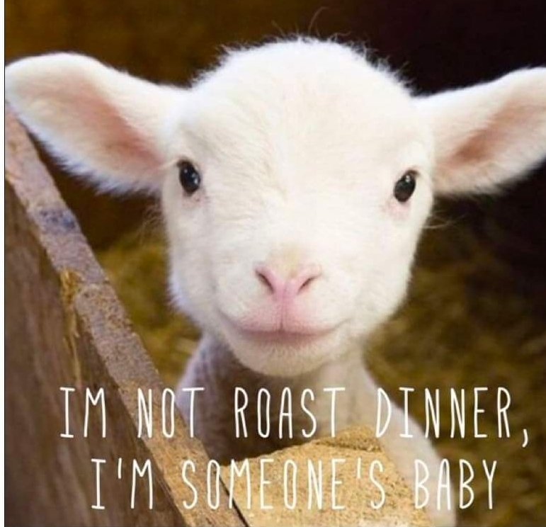 Ellie CG tweet media