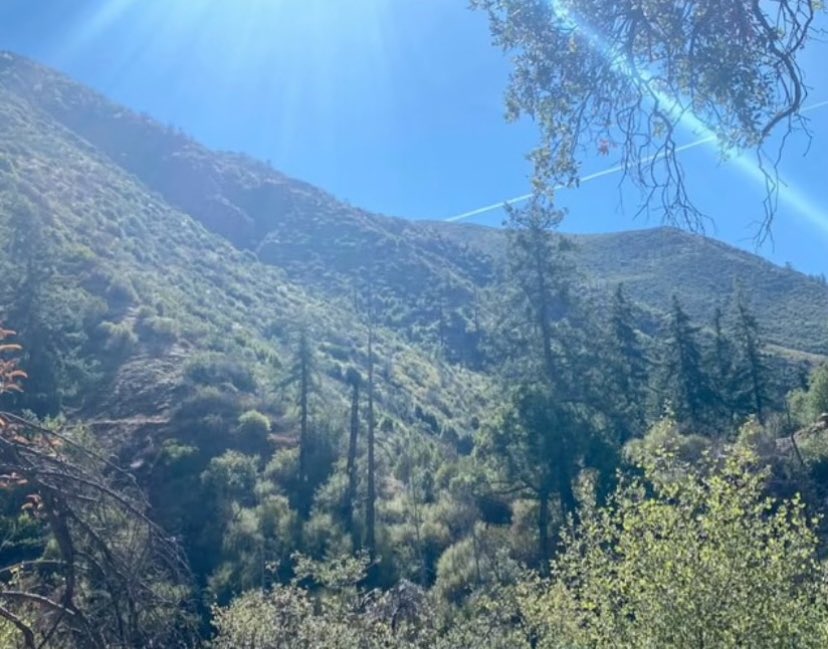 fischl daily🐦‍⬛.⋆♱⃓ tweet media