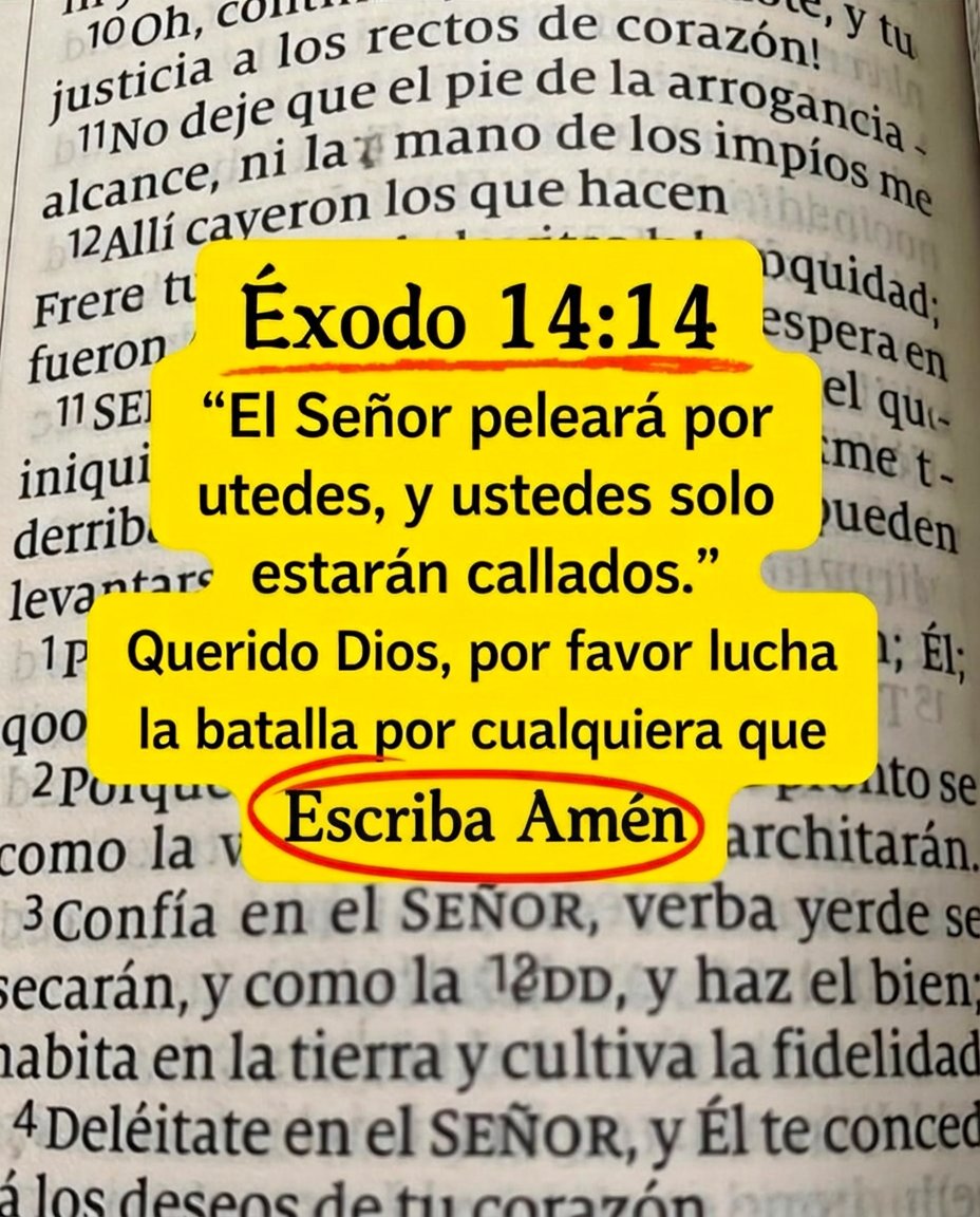 NOMO🙏✝️AlServicioDeDios tweet media