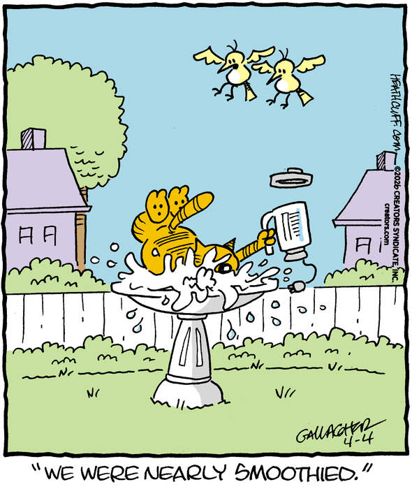 actual heathcliff comics tweet media
