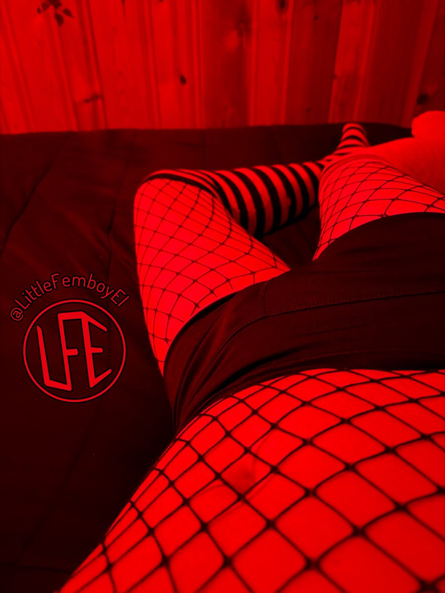 ☙ꕥ 𝐸𝓁𝒾𝓏𝒶 ꕥ❧ tweet media