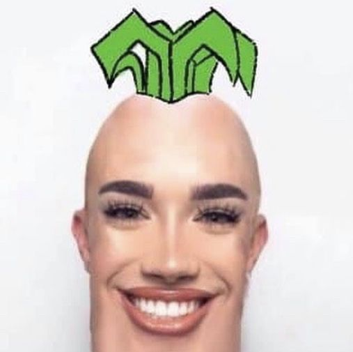 DayGonThaWuskyyy 🐺🇺🇸 tweet media