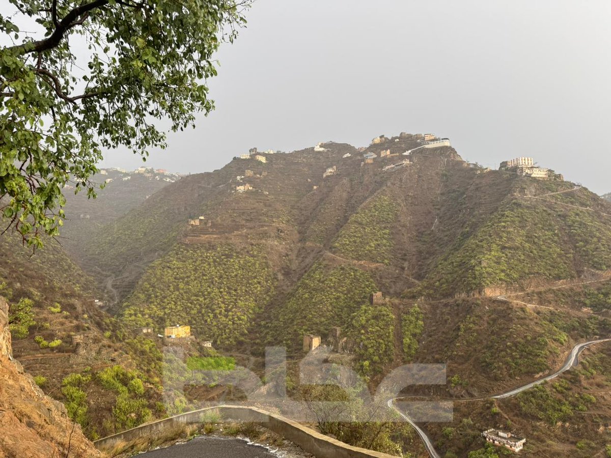 عكاظ tweet media