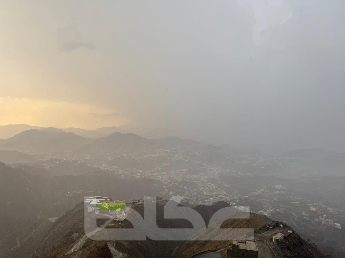 عكاظ tweet media