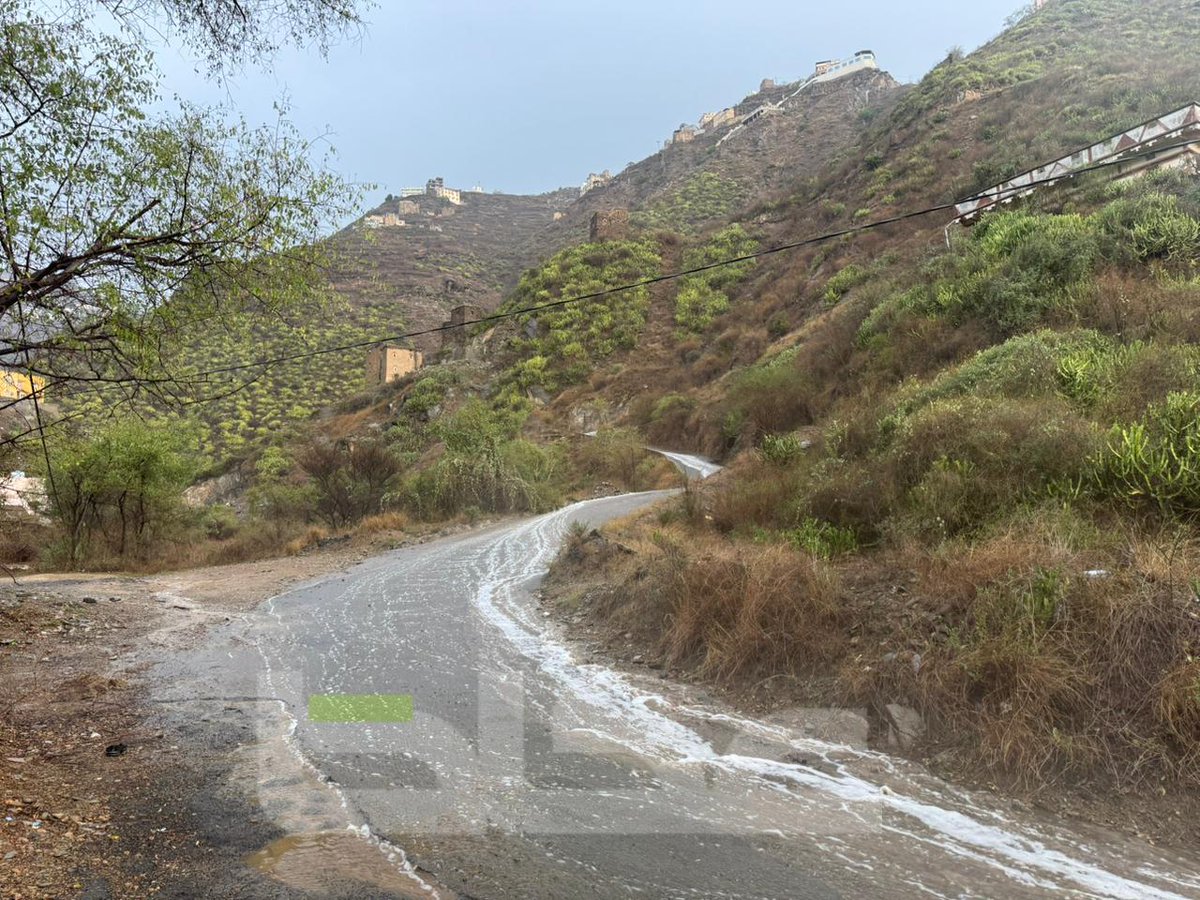 عكاظ tweet media