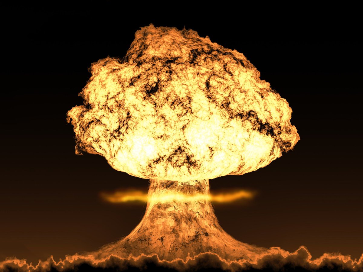 No Body ~ 🧲 tweet media