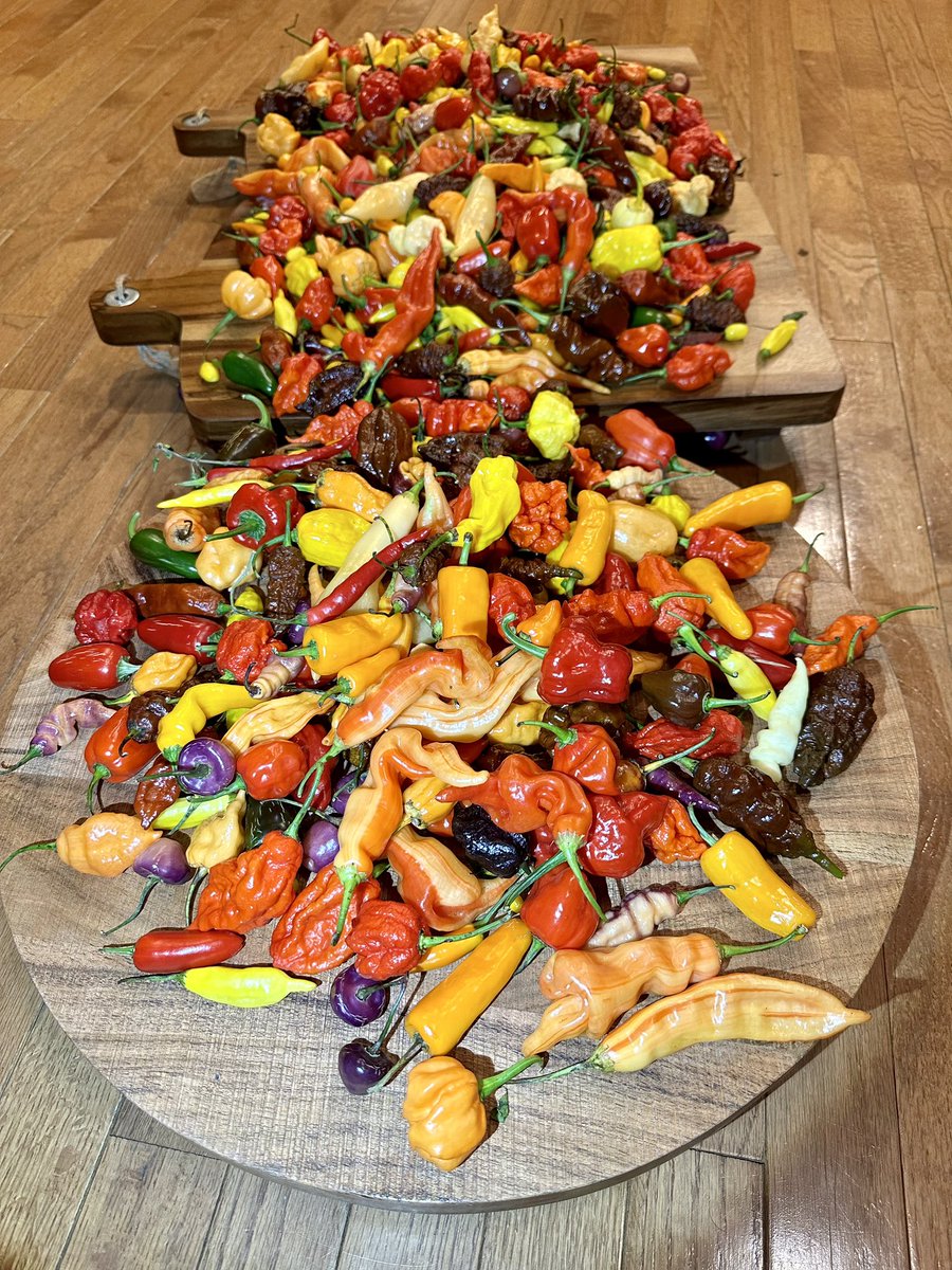 @HabaneroHarman tweet media