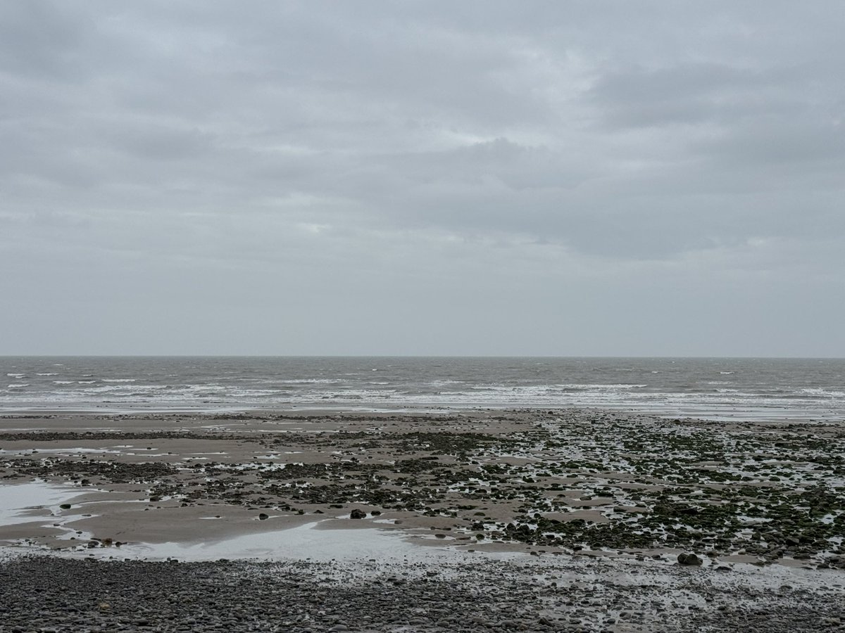 Angantýr tweet media