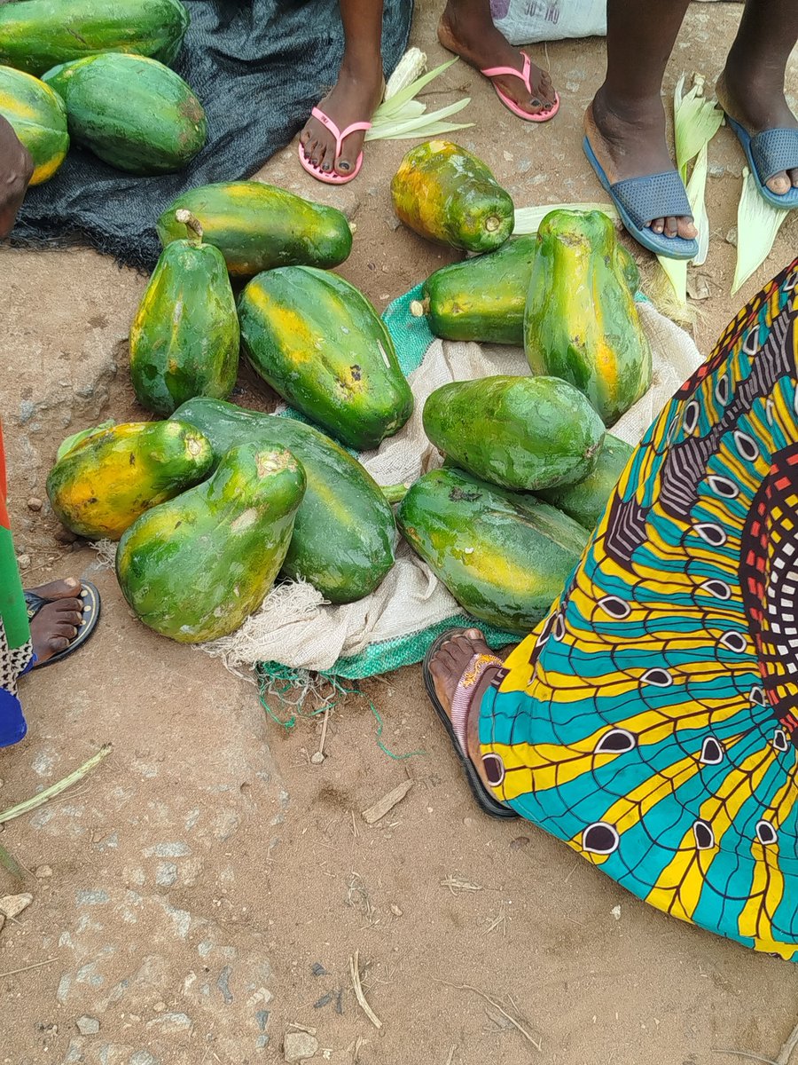 The Nigerian Farmer tweet media