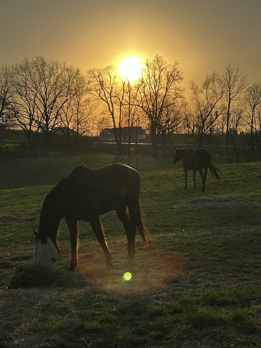 Full Circle Farm tweet media