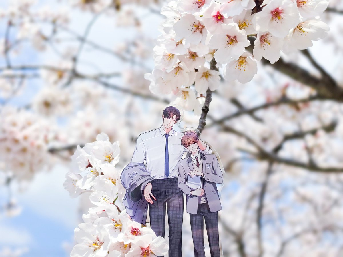 케이트🪴 tweet media