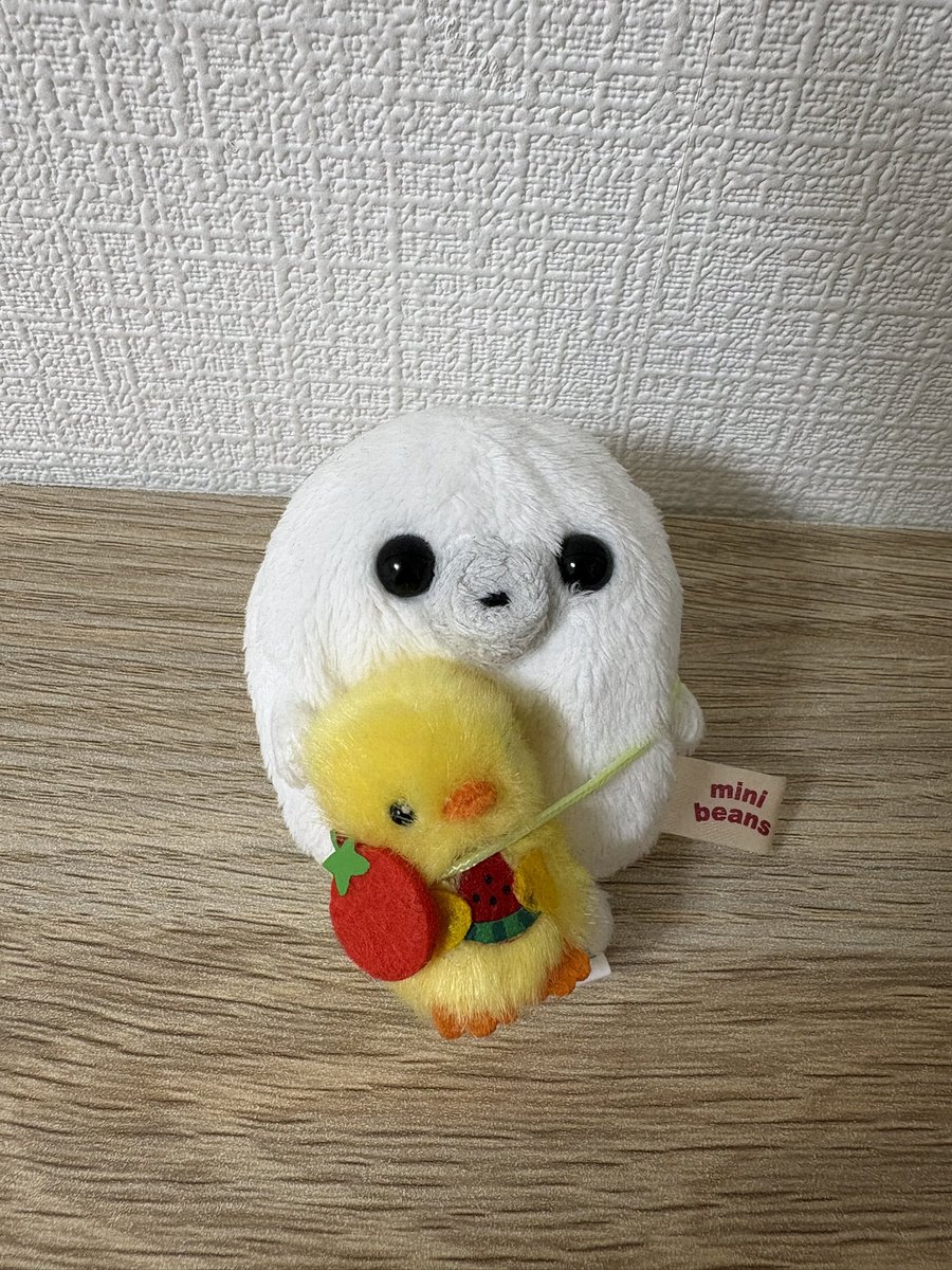 ロンちゃん tweet media