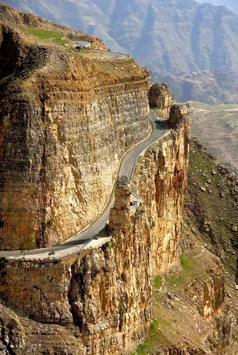 ♕زهرةالربيع♕ tweet media