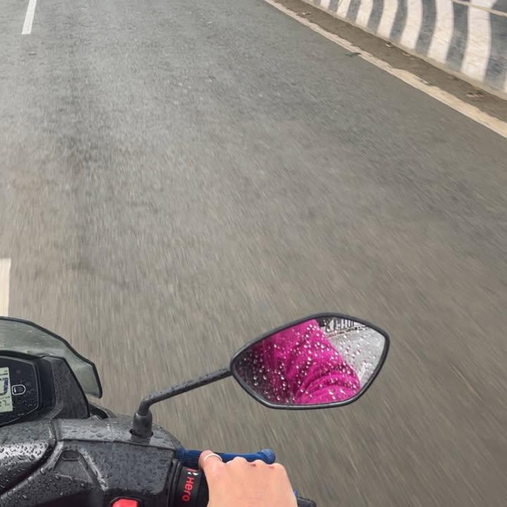 Panra 🌿 tweet media