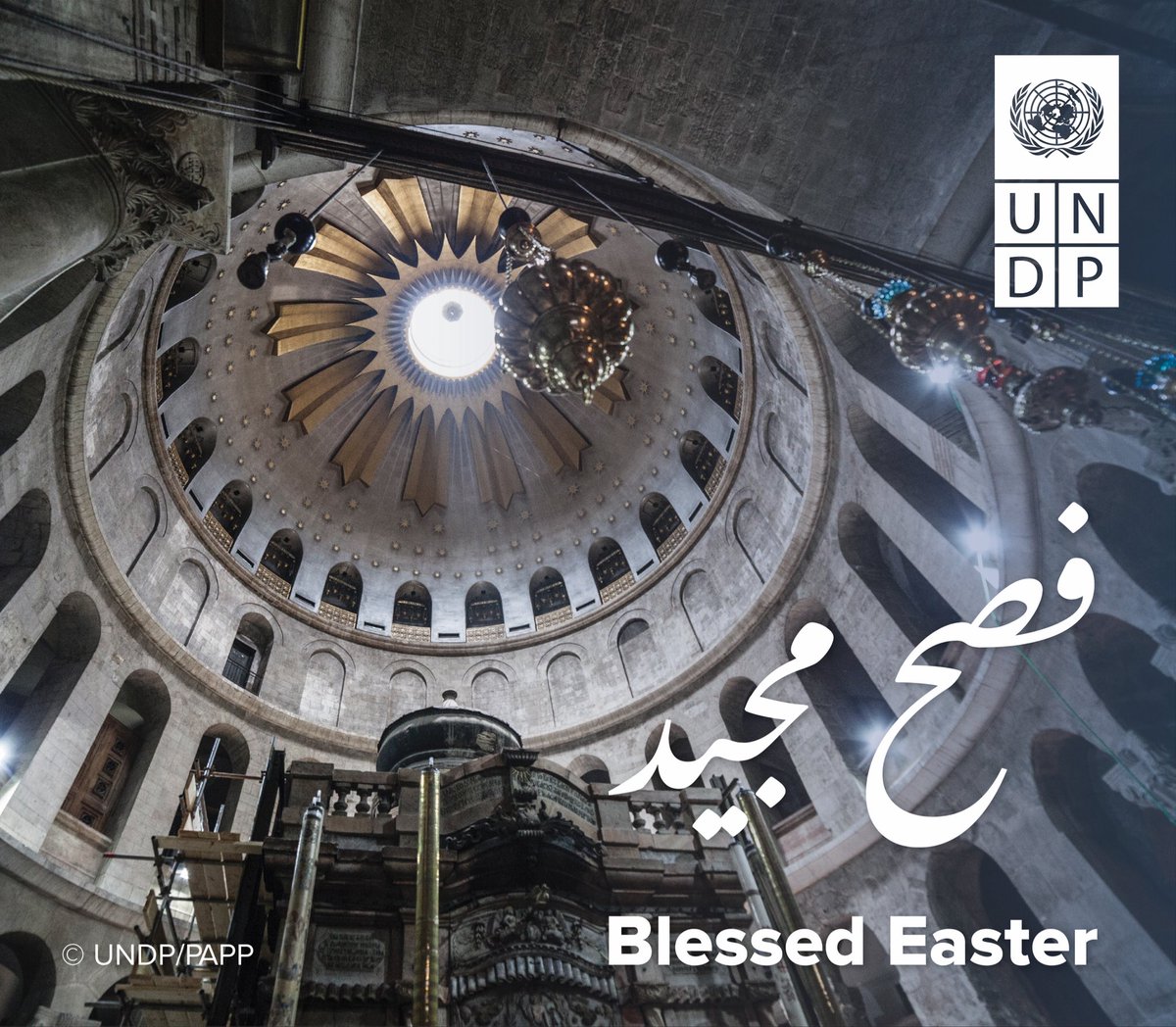 UNDP Palestine tweet media