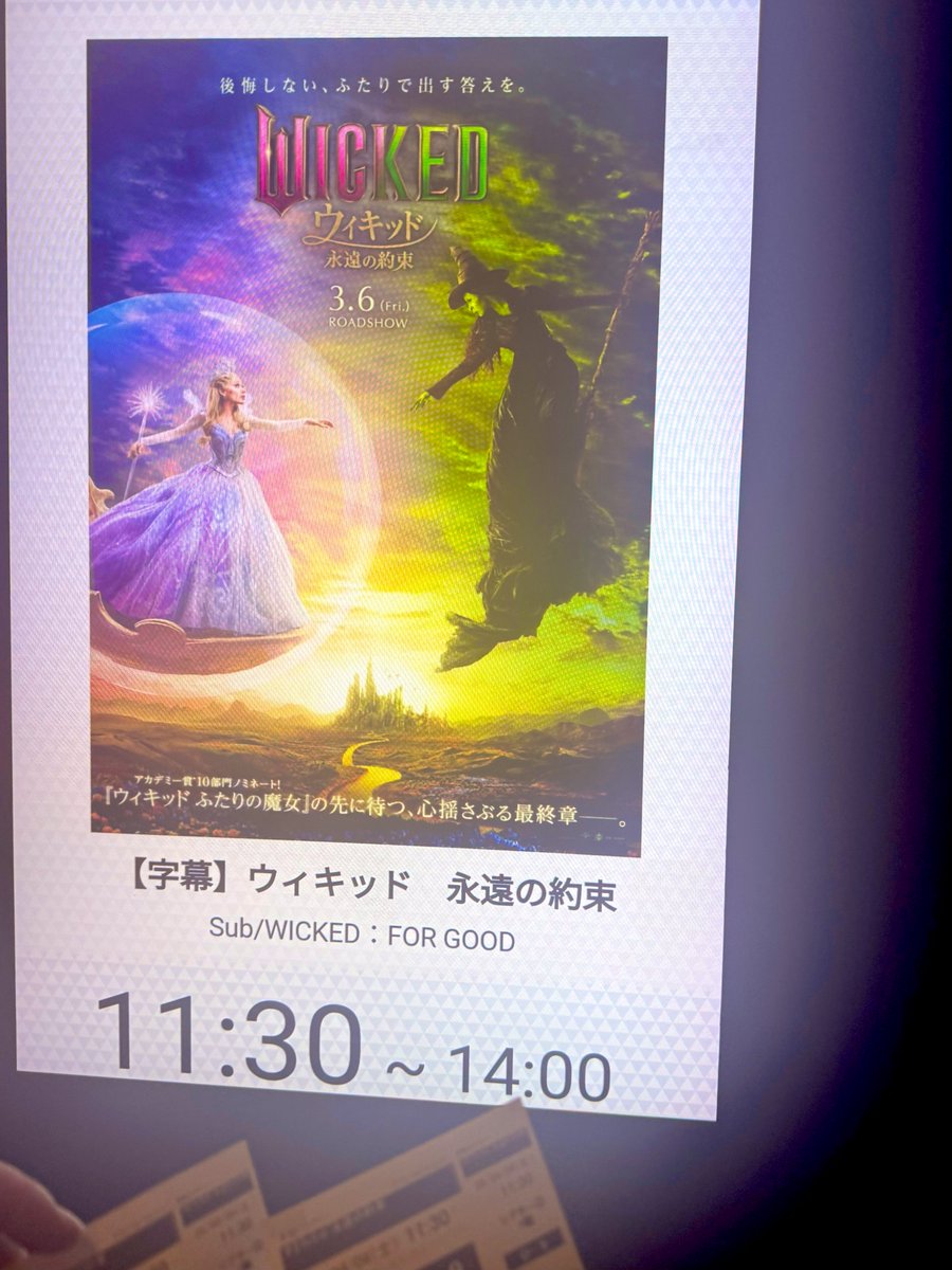 森めぐ/ tiny tiny tweet media