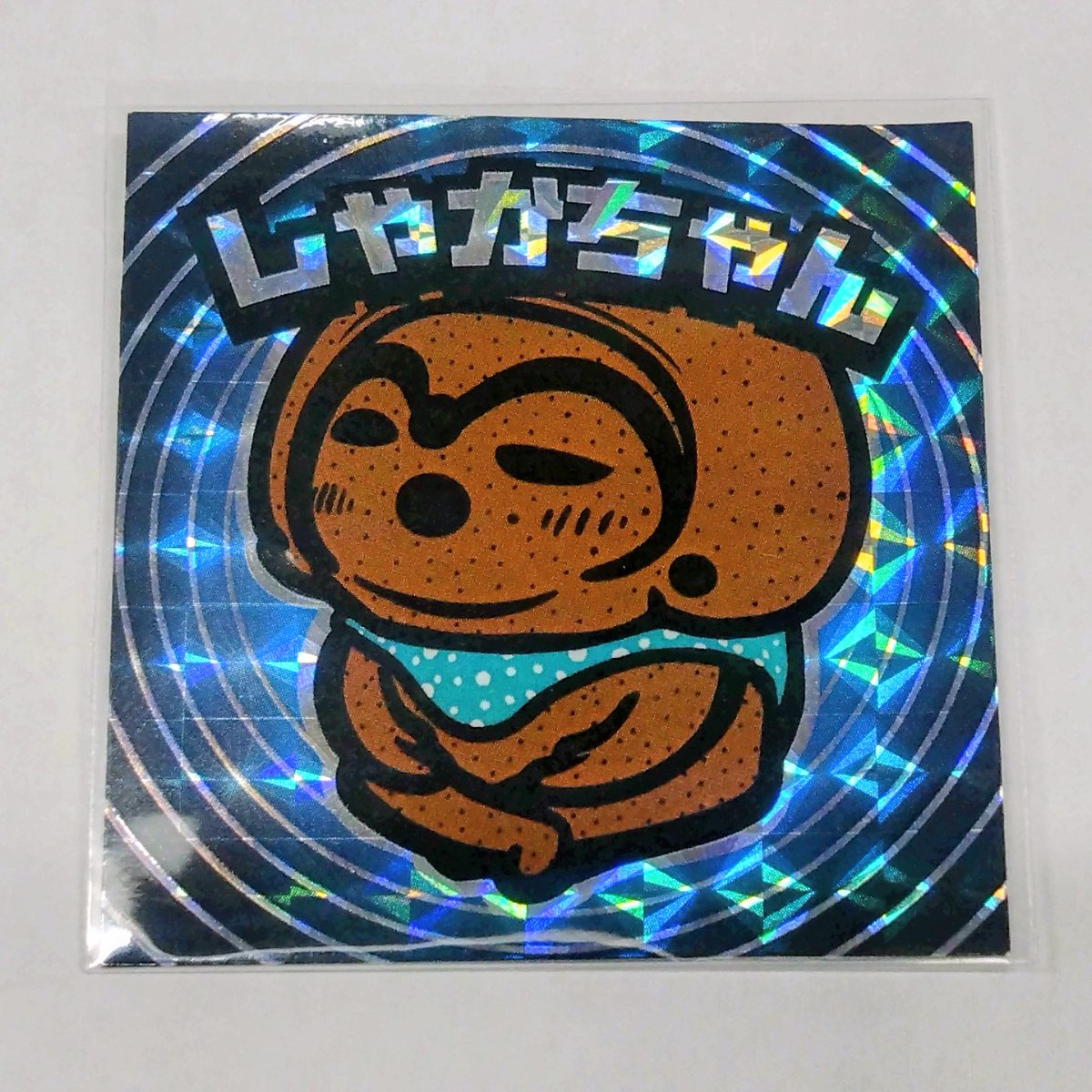 釈迦堂遺跡博物館 tweet media