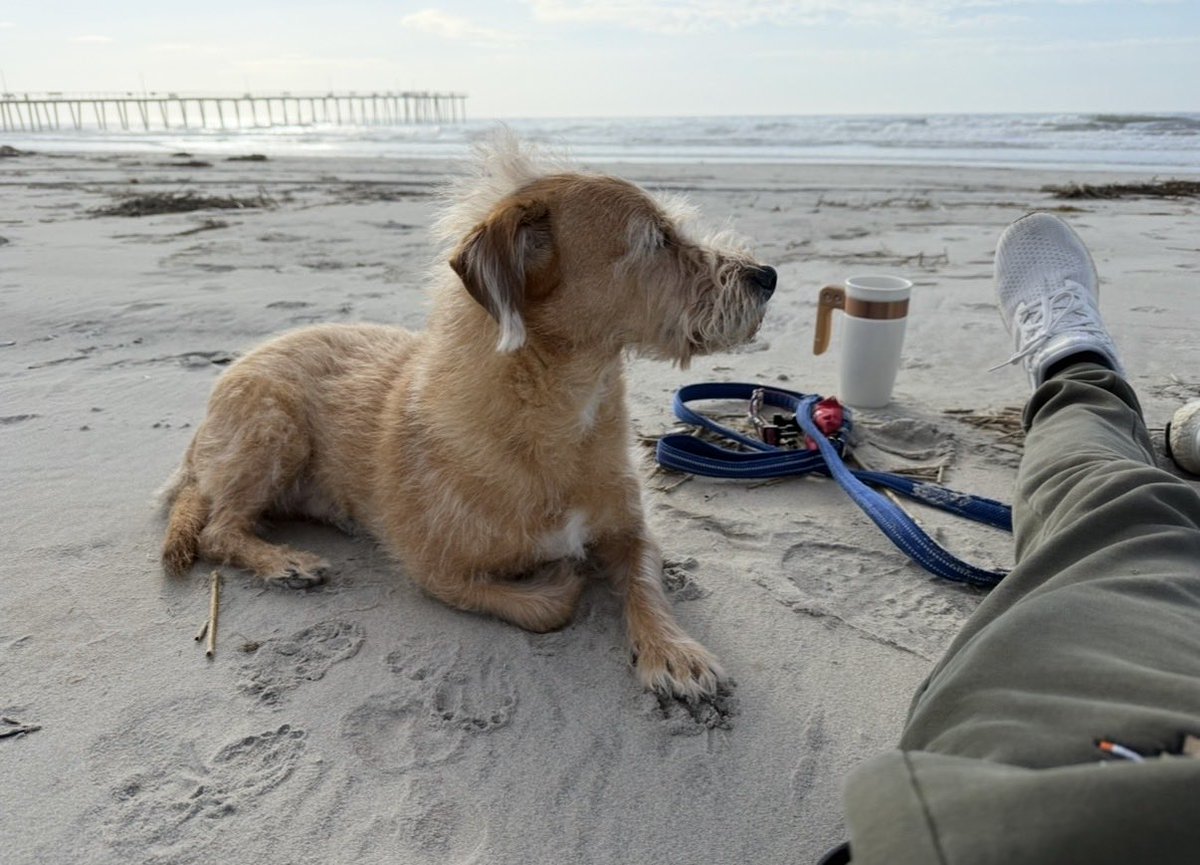 Lagowitz tweet media