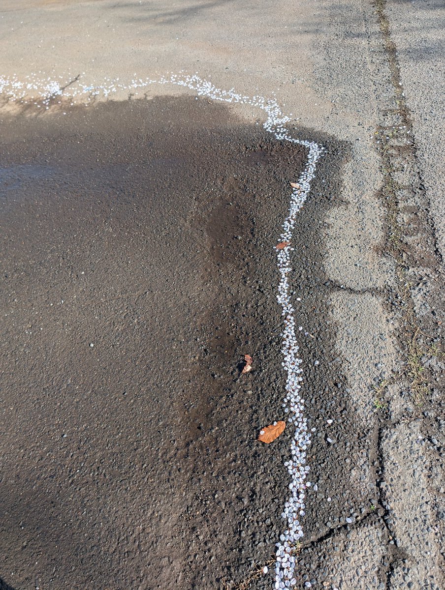 川瀬宏明 tweet media