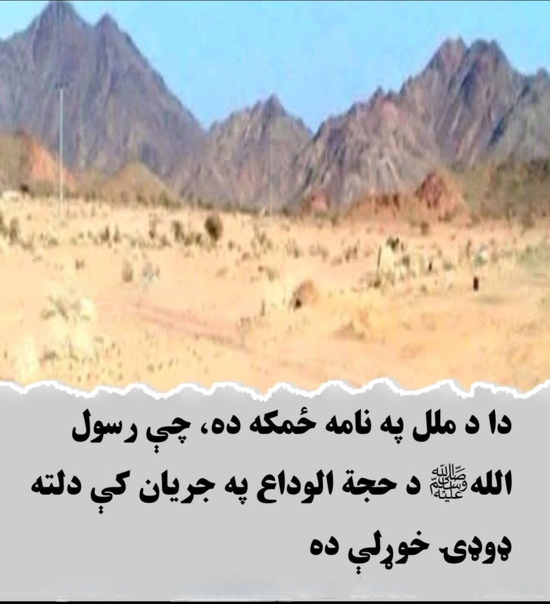 Neamat Rashid tweet media