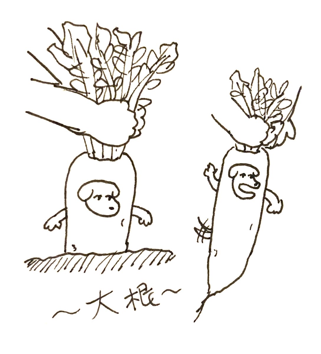 ぬんたん tweet media