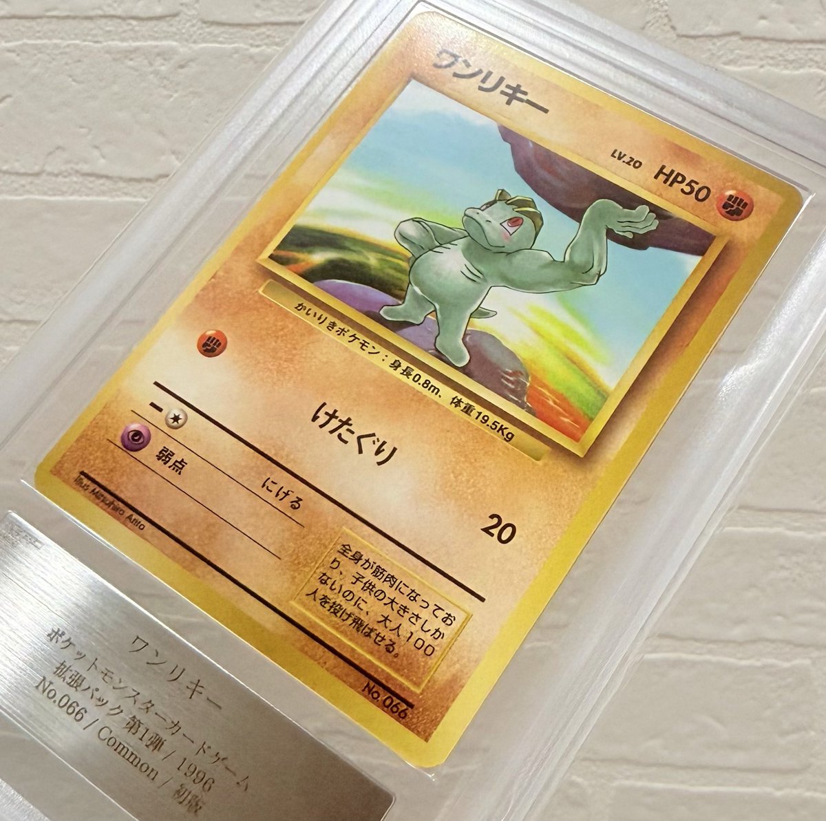 TAMAO🌙 tweet media