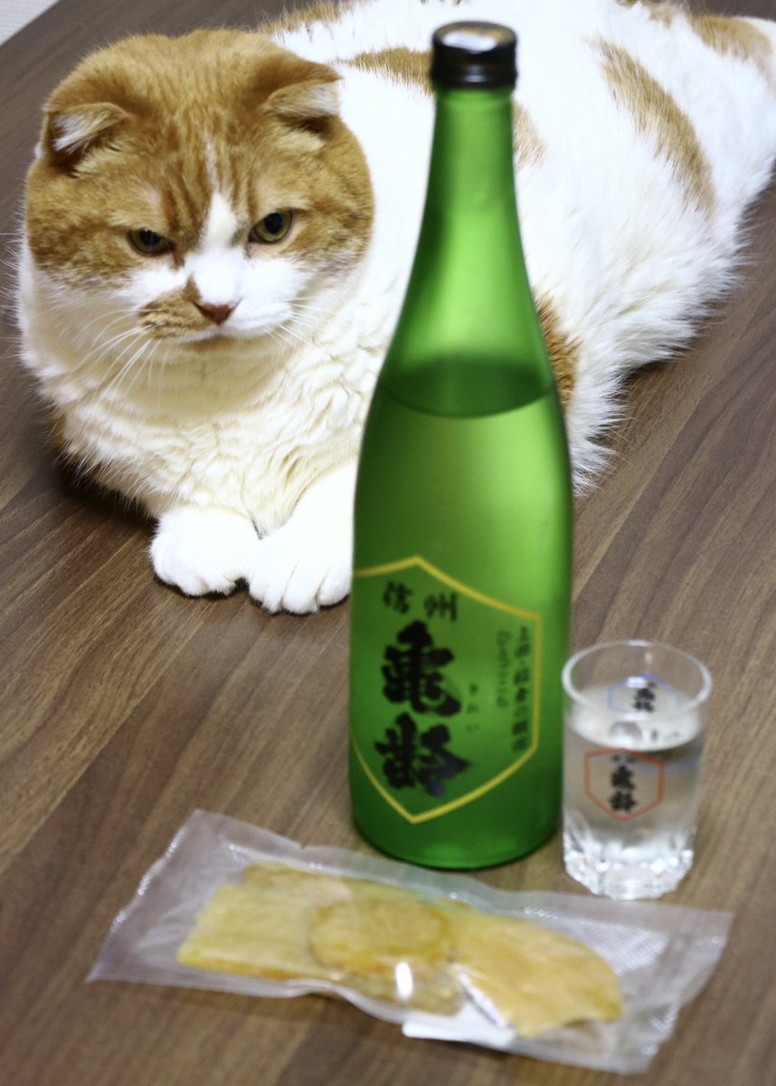 シーナ🐾 tweet media