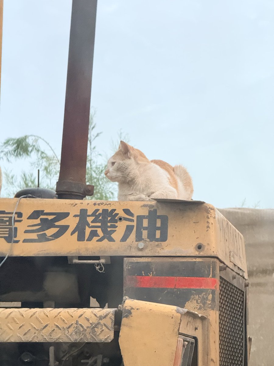 وحيد اكثر من فوييجر tweet media