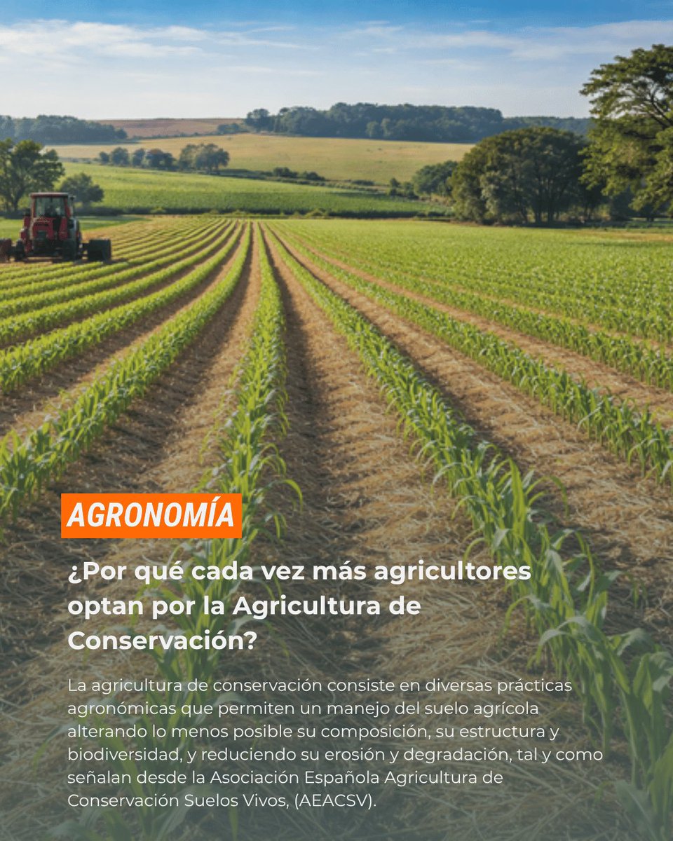 huerta_digital's tweet image. 🌱 Más agricultores apuestan por la Agricultura de Conservación: menos erosión, más agua retenida y suelos más fértiles. AEACSV y @gobmapa impulsan su difusión.

Amplía en @AEACSV ➡️ agriculturadeconservacion.org/2026/03/23/por… #AgriculturaSostenible #Suelo