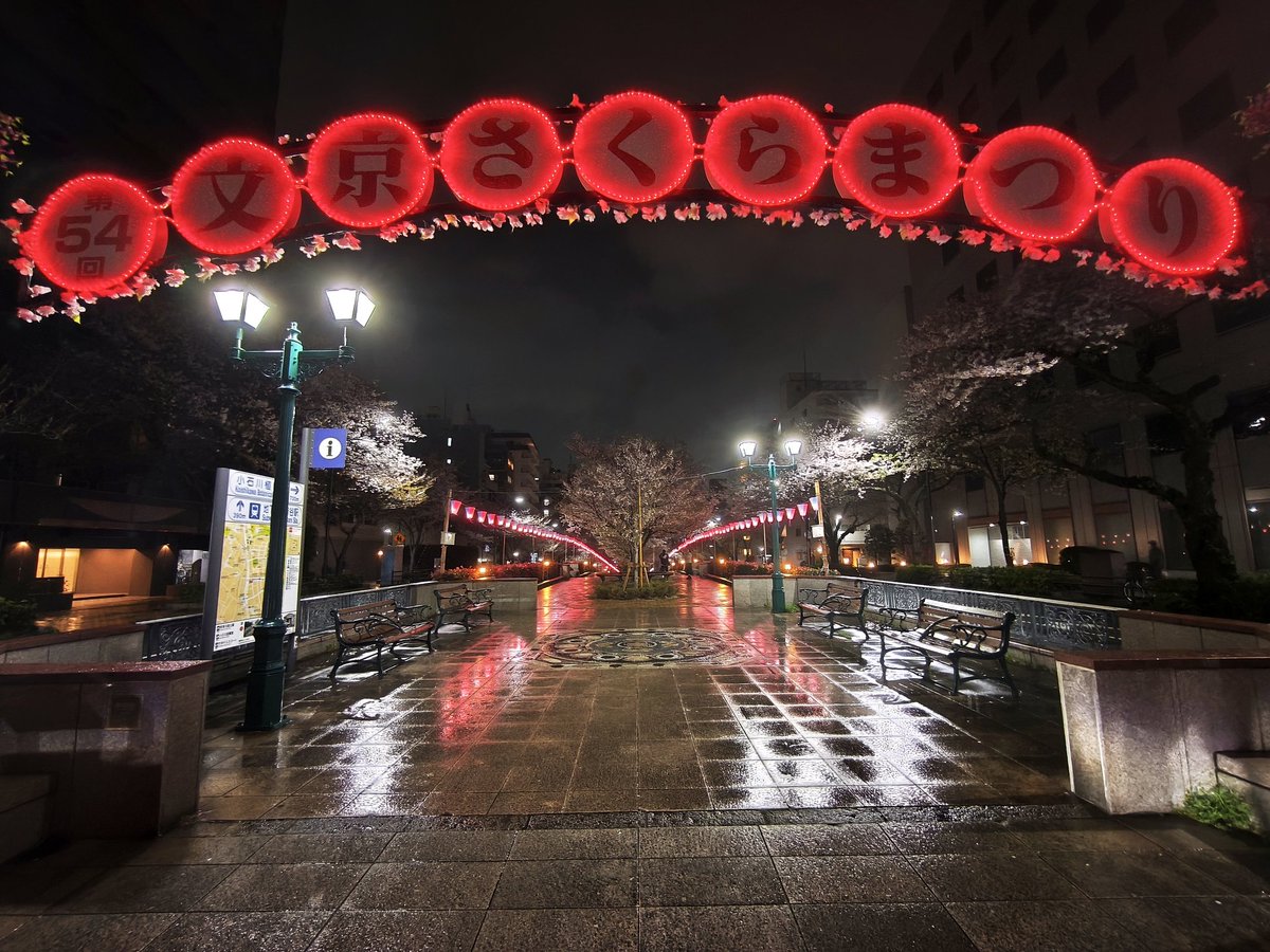 −4/4−
小雨の中、夜桜が見たくてプチ散策🌸
夜桜お七はいなかった…😂

スマホカメラって、夜でもこんなに明るく撮れるんだ⁉️
ちなみにAndroidのLeicaカメラです。

ここ数年、桜の見頃時期に雨が多い気がする☂️