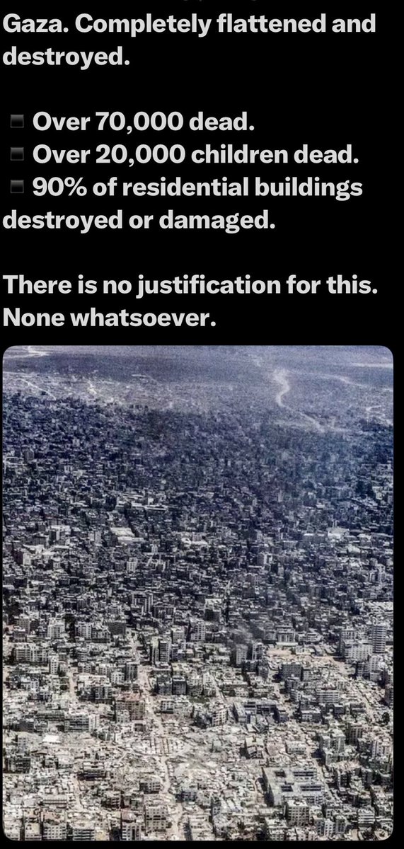 neri Kaya Kadıoğlu tweet media