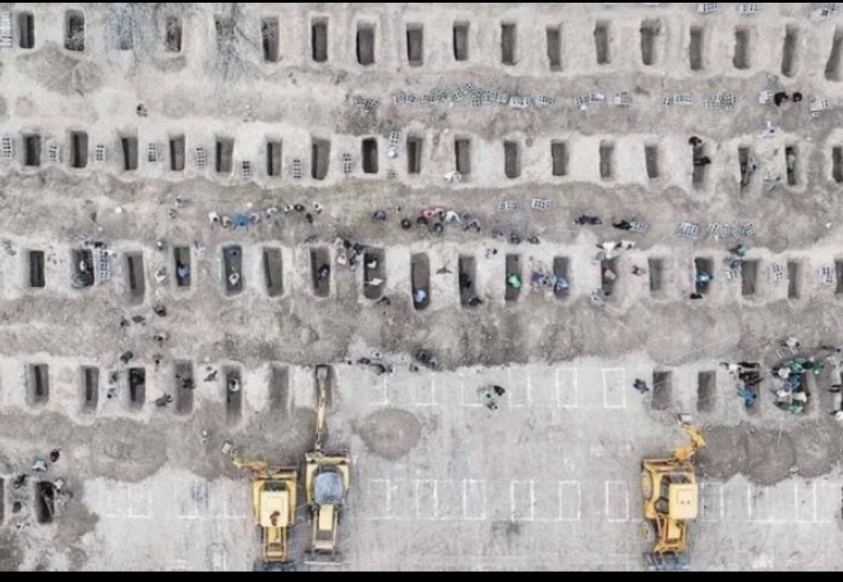 neri Kaya Kadıoğlu tweet media