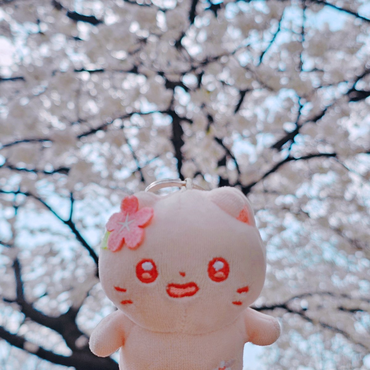 파도(波) tweet media