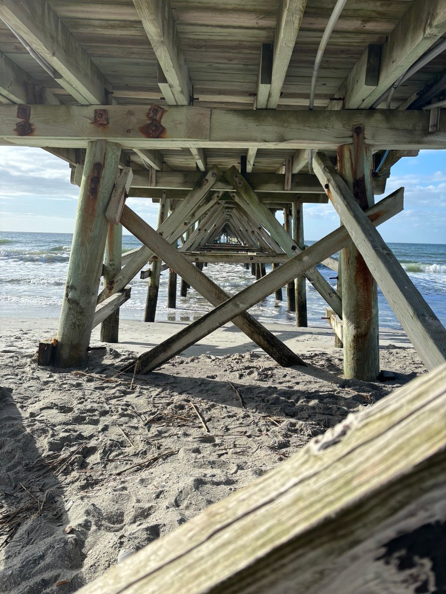 Sir Rosis of Liver tweet media