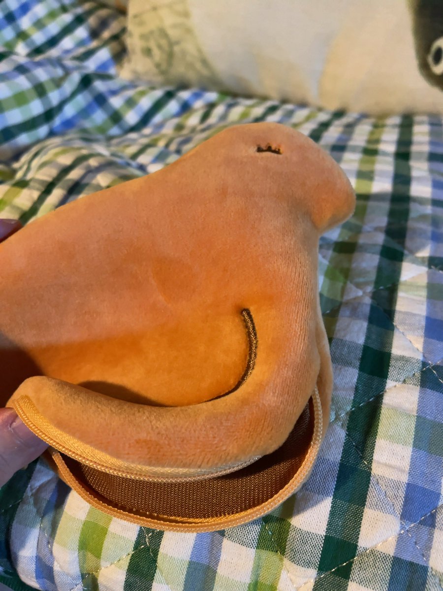 しまっち🐦🎻 tweet media