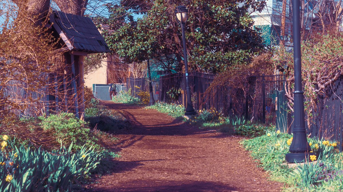 Oreste Mercado tweet media