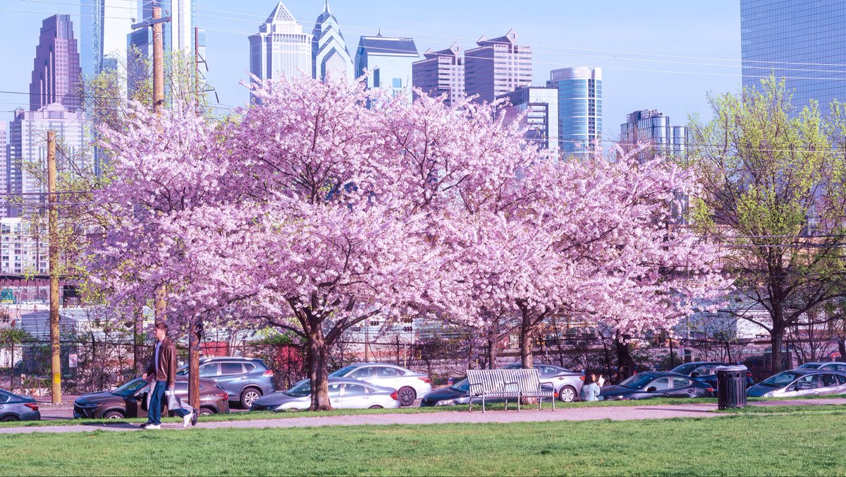 Oreste Mercado tweet media