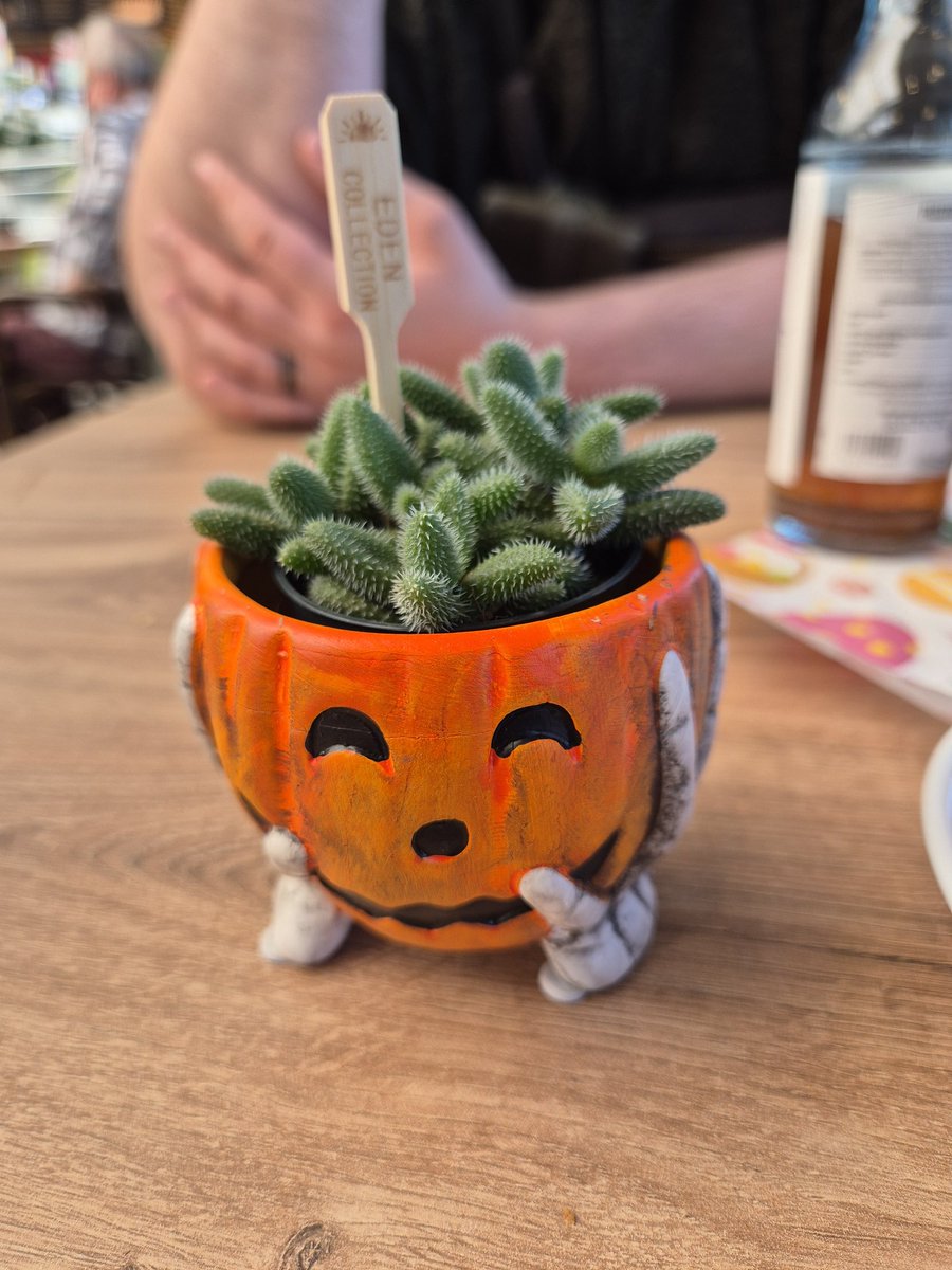 Schatzi und ich sind bei Pflanzen Kölle und wir haben was gefunden. 😊🤗