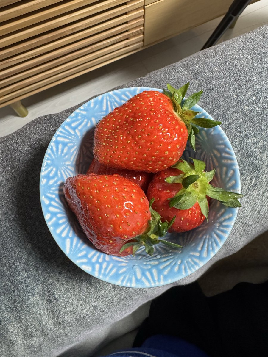 Oott오오트 tweet media