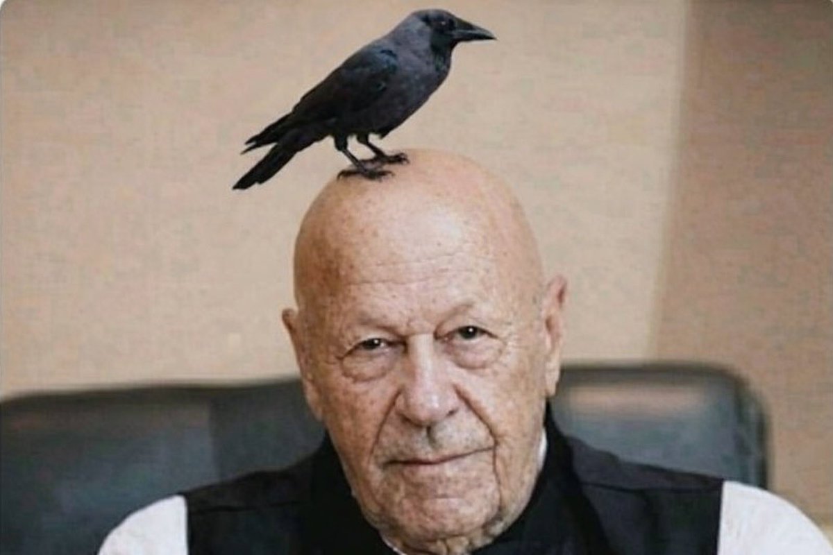 سہیل احمد(عزیزی) tweet media