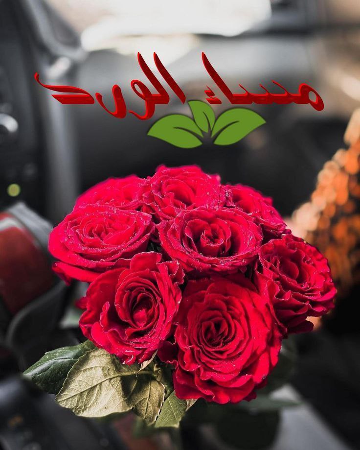 وُيَٻقٌى آلُآمْلُ ‏𓃗 tweet media