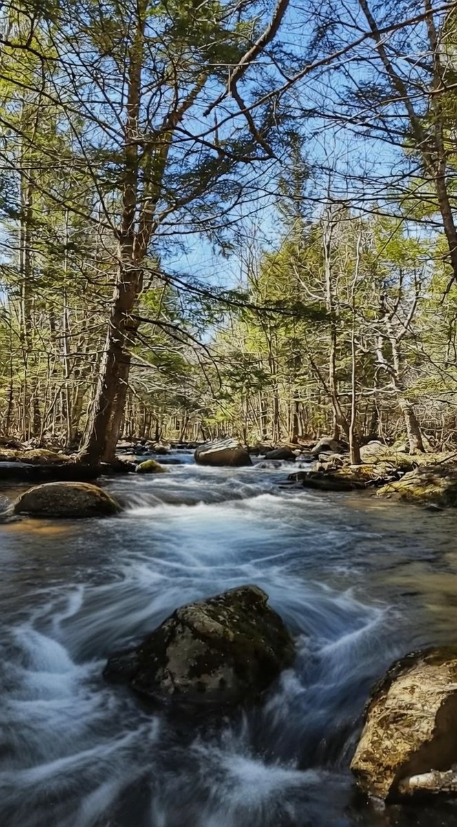 Granite Stater 🇺🇸 tweet media