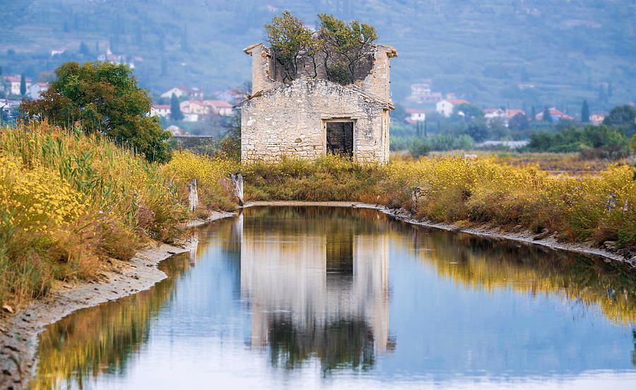 joancarroll's tweet image. Saltpan House in Slovenia! buff.ly/3S7jK6q This abandoned yet picturesque house is a hidden gem for #travel photographers #Slovenia #stream #reflections #canal #house  #wildflowers #abandoned #europe @joancarroll #giftideas