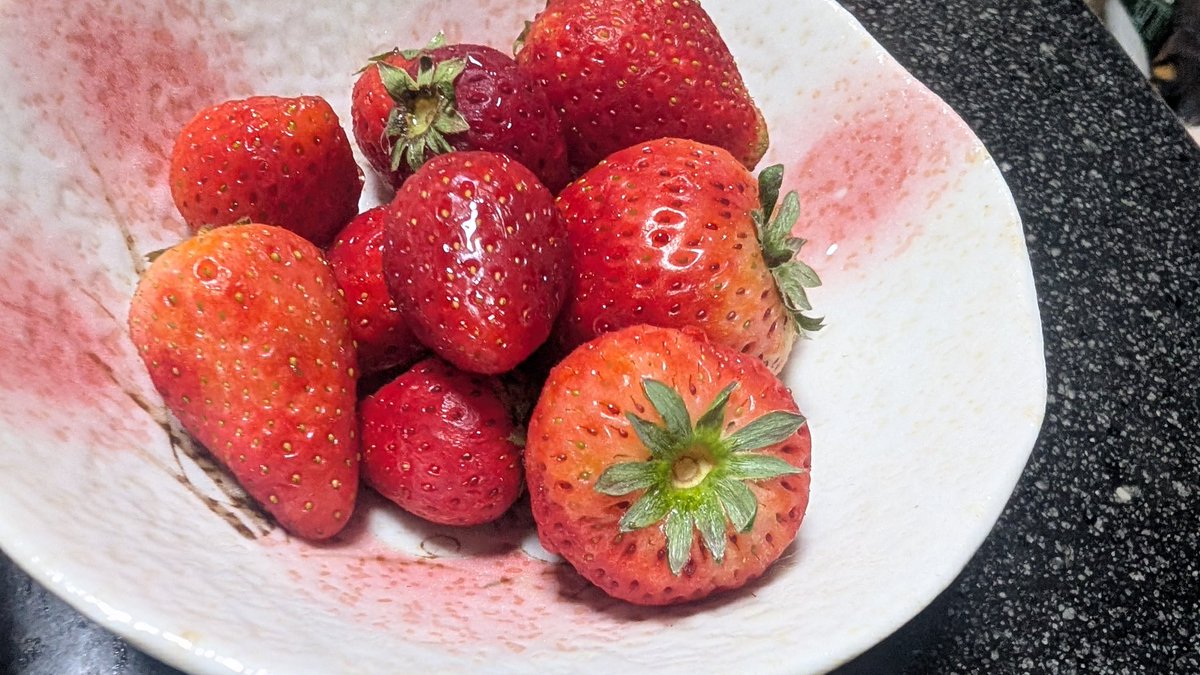 遊牧舎銕仙(回復中) tweet media