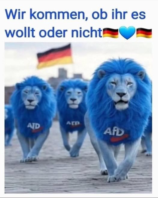 Deutsches Mädel tweet media