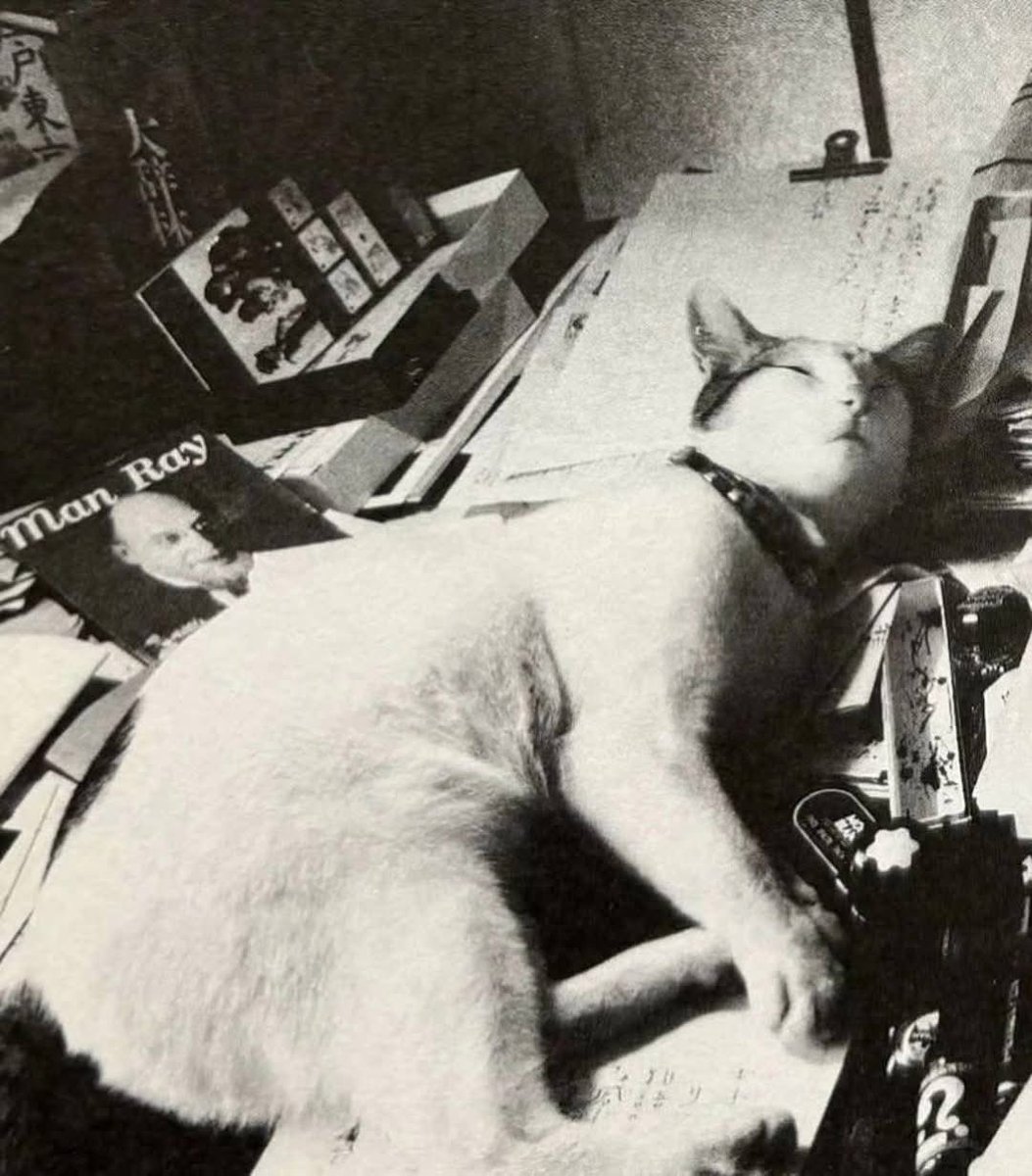 X-Ray Eyes tweet media