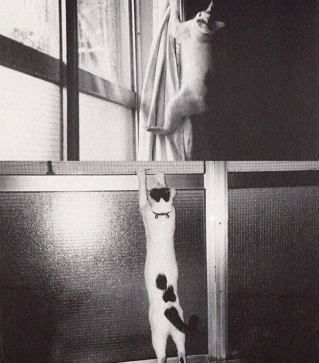 X-Ray Eyes tweet media