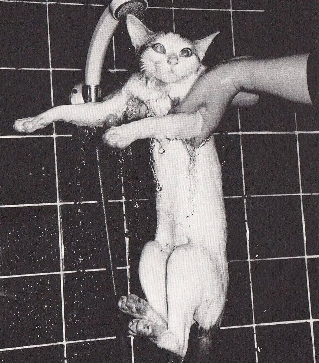 X-Ray Eyes tweet media