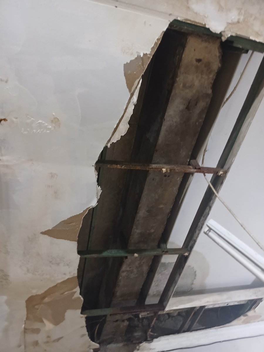 Obelia Larasati tweet media